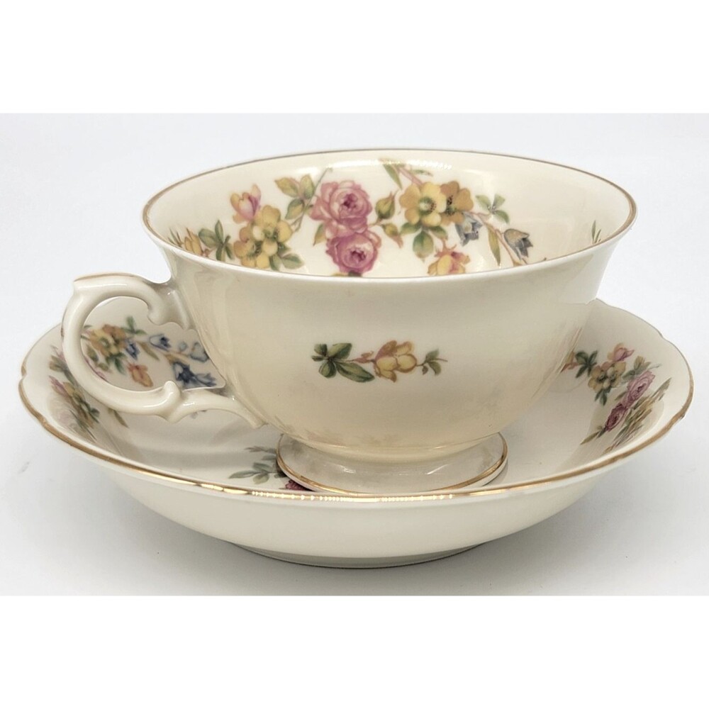 CCC Imperial Bohemian Porcelain China Cup and Saucer Germany Gold Trim Vintage